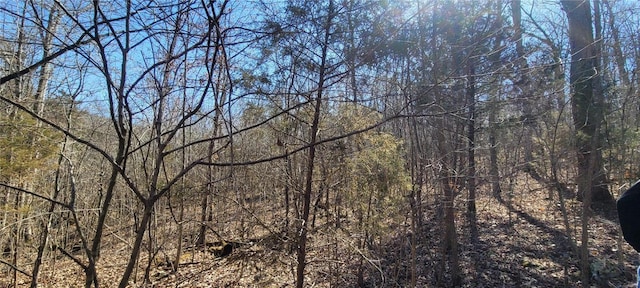 view of landscape featuring a view of trees