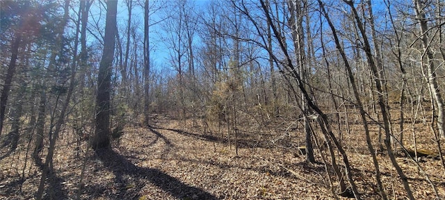 view of nature featuring a wooded view