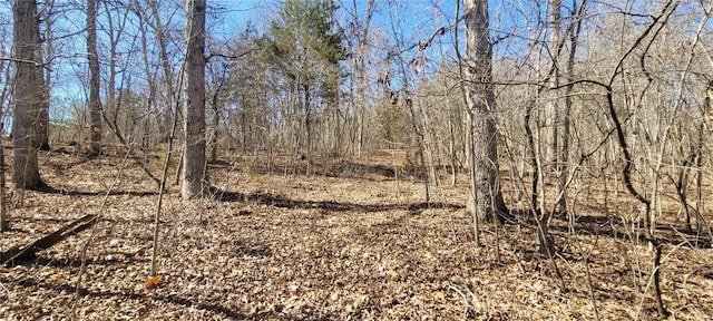 view of local wilderness