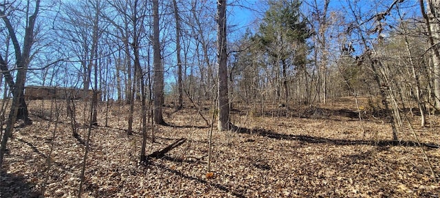 view of landscape