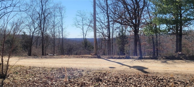 view of nature with a forest view