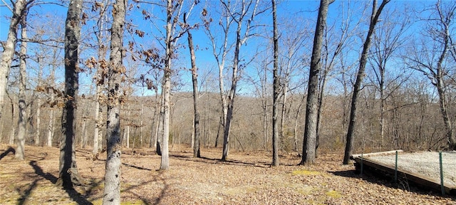 view of local wilderness featuring a view of trees