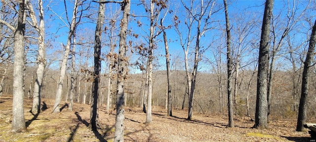 view of nature with a forest view