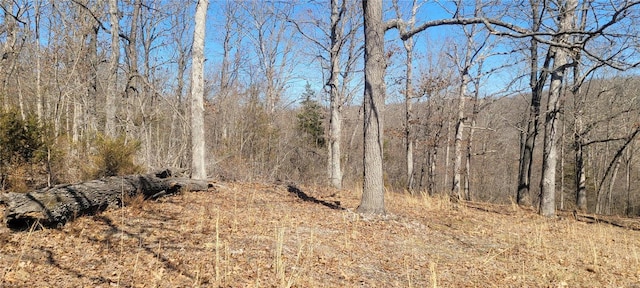 view of local wilderness featuring a view of trees