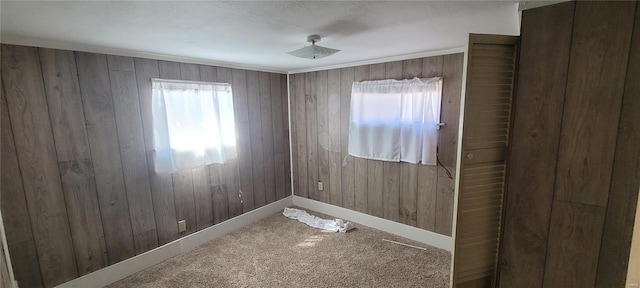 carpeted empty room with a healthy amount of sunlight, baseboards, and wood walls