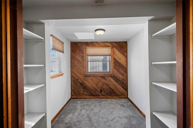 walk in closet featuring carpet floors