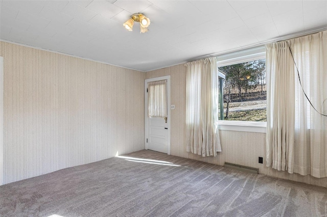 spare room with visible vents and carpet