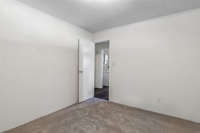 spare room with ornamental molding, carpet flooring, and a textured wall