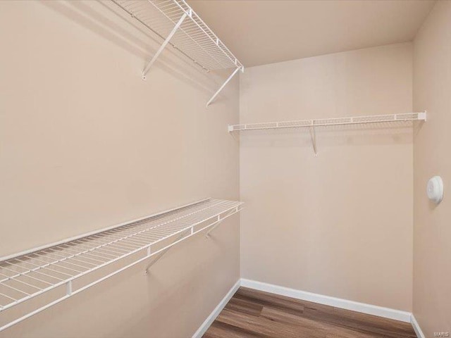 spacious closet with dark wood-style flooring