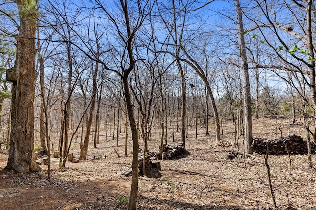 view of local wilderness featuring a forest view