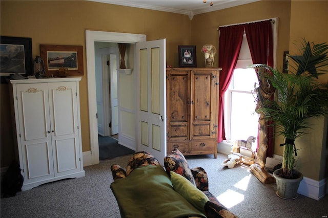 interior space with carpet flooring and ornamental molding