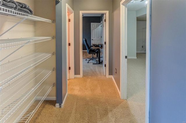 hall with baseboards and carpet floors