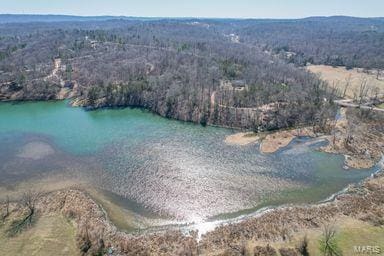 bird's eye view featuring a wooded view and a water view