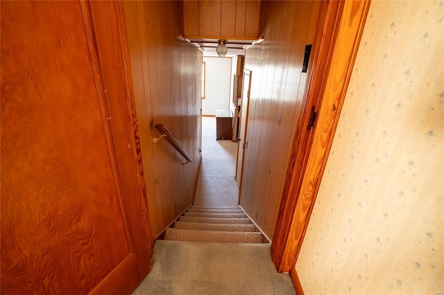 stairway featuring carpet and wood walls