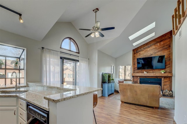 kitchen with open floor plan, dishwasher, a wealth of natural light, a fireplace, and a sink