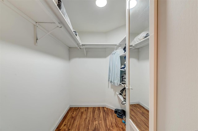 spacious closet with wood finished floors