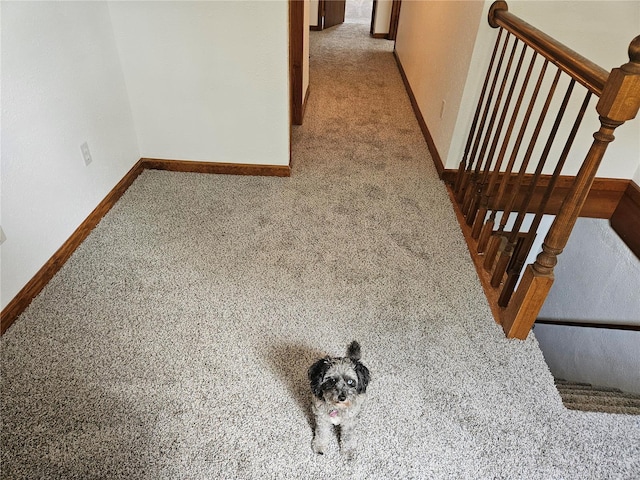 interior space featuring carpet flooring and baseboards