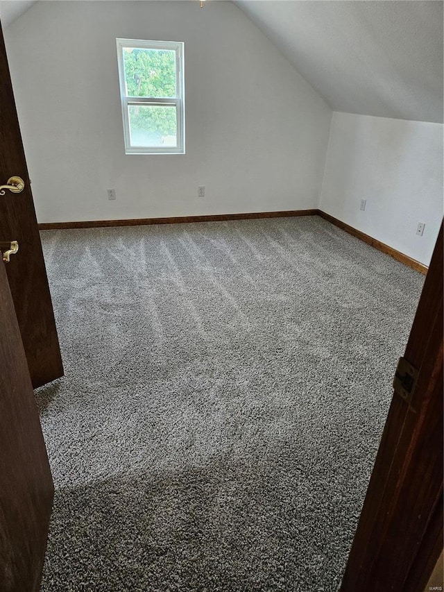 additional living space featuring baseboards, lofted ceiling, and carpet