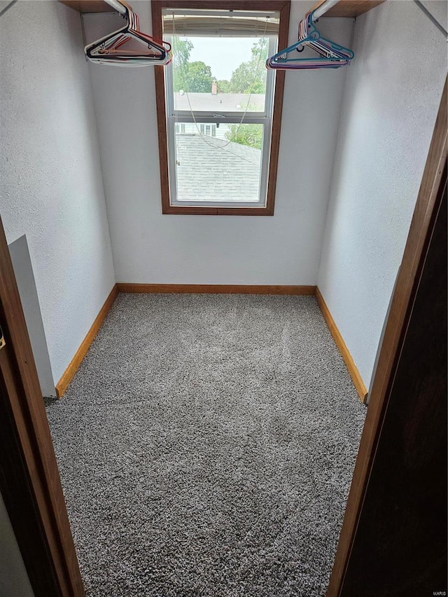 spacious closet with carpet