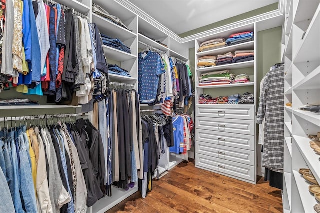 walk in closet featuring wood finished floors