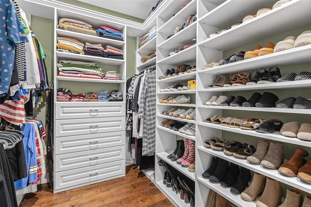 walk in closet featuring wood finished floors