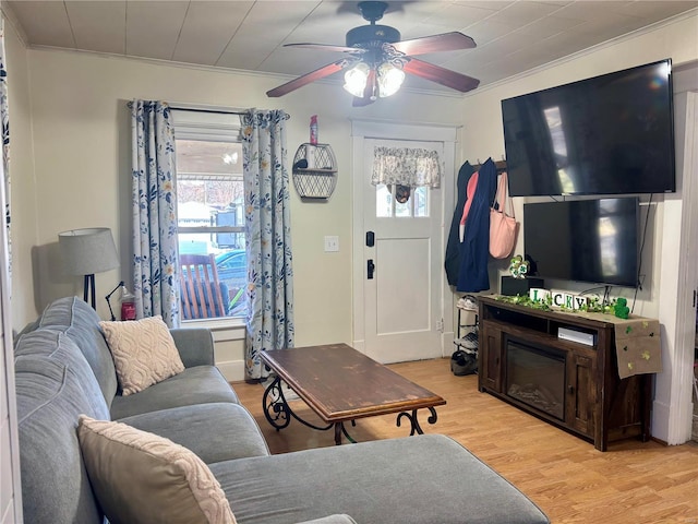 living area with light wood finished floors, a healthy amount of sunlight, crown molding, and ceiling fan