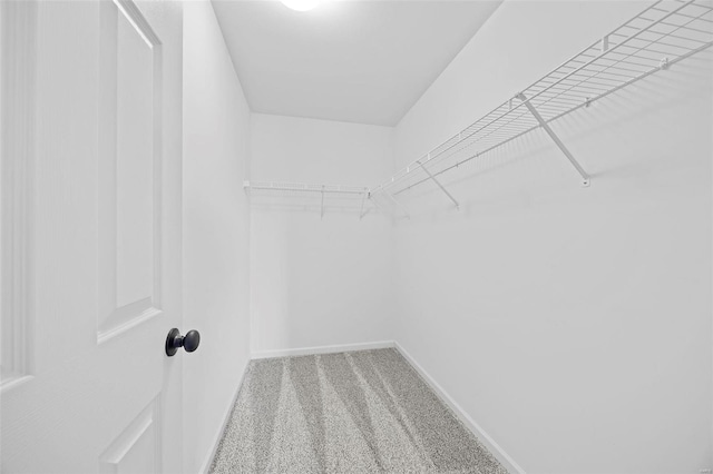 spacious closet with carpet