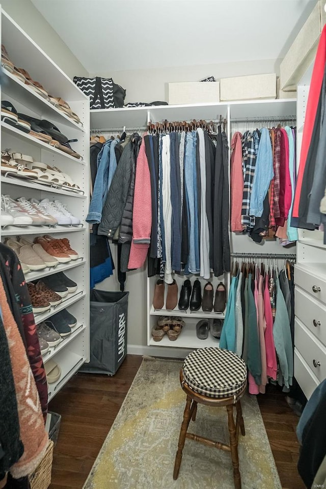 spacious closet featuring wood finished floors