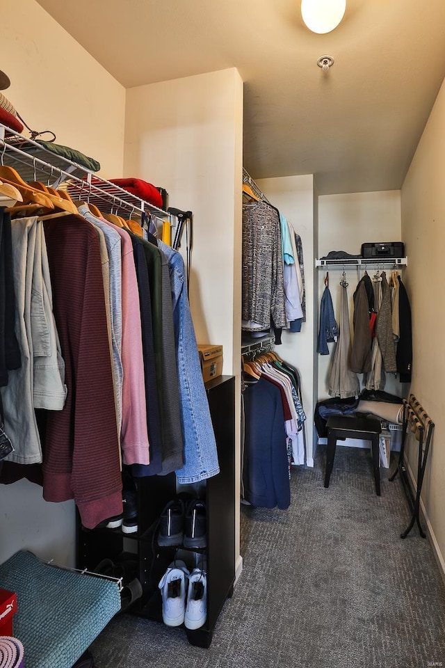 walk in closet featuring carpet floors