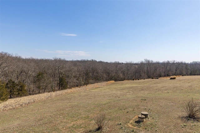 view of landscape featuring a rural view and a forest view