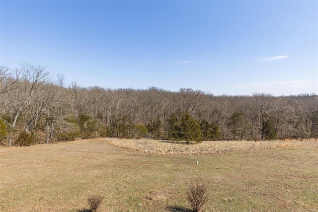 view of local wilderness featuring a forest view