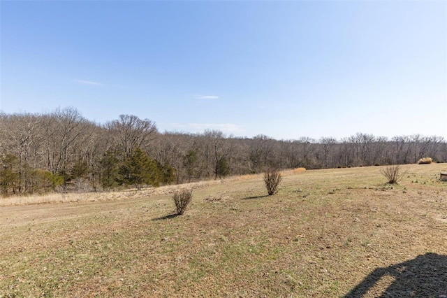 view of landscape featuring a rural view and a wooded view