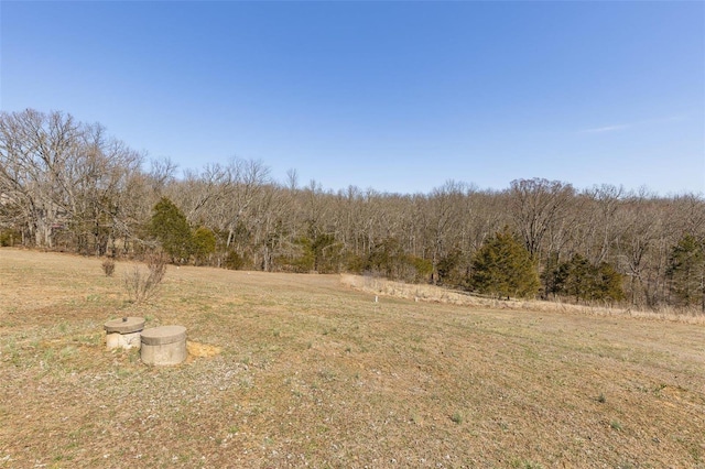 view of yard featuring a wooded view