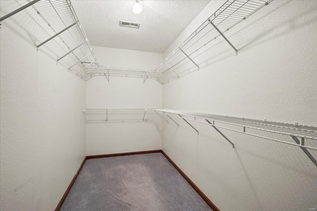 spacious closet featuring visible vents and carpet floors