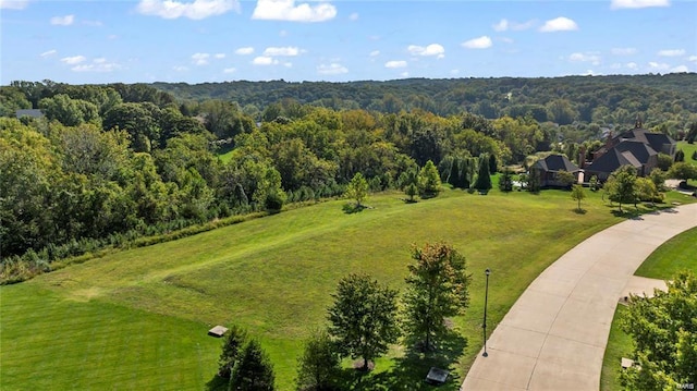 bird's eye view with a view of trees