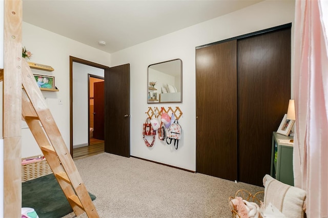 interior space with a closet and carpet