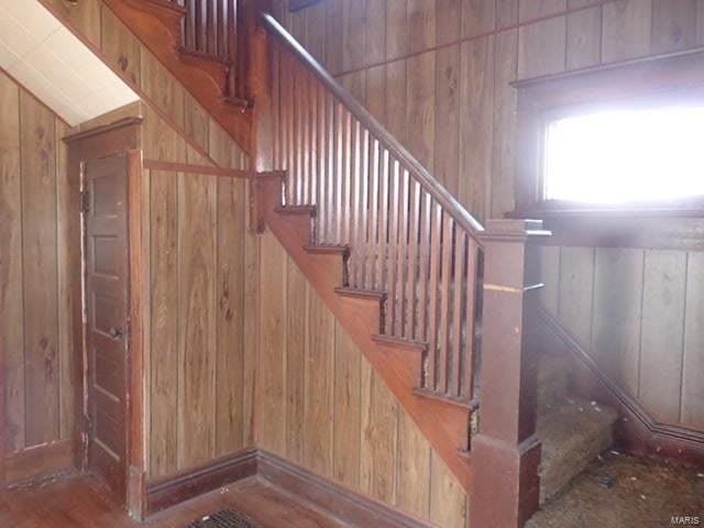 stairway with wooden walls