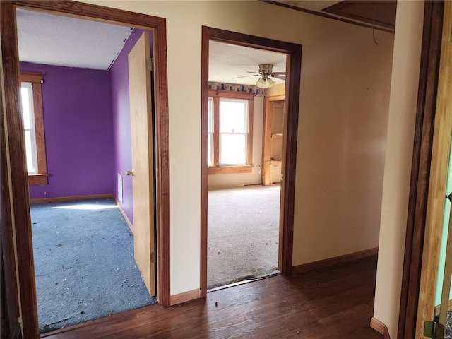 corridor featuring baseboards, carpet flooring, a textured ceiling, and wood finished floors