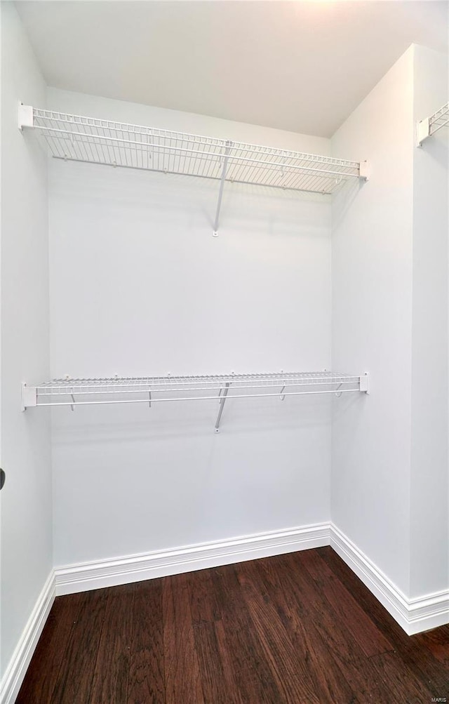 walk in closet with dark wood finished floors