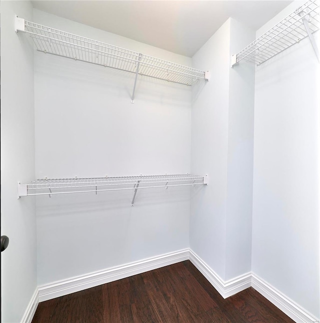 walk in closet with dark wood-type flooring