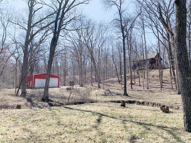 view of yard featuring a detached garage, an outbuilding, and driveway