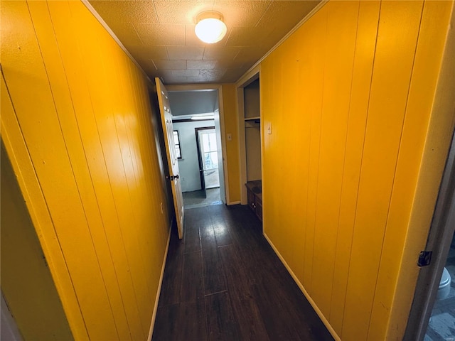 corridor featuring wooden walls and dark wood-type flooring