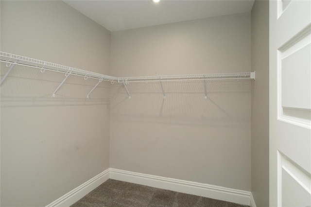 spacious closet featuring dark carpet