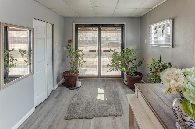 interior space with a drop ceiling, a healthy amount of sunlight, and wood finished floors