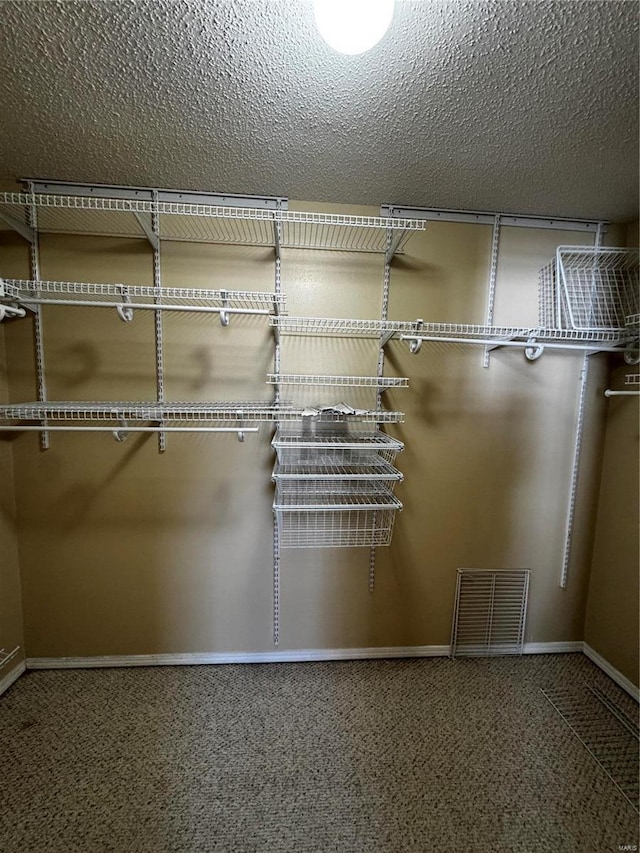 spacious closet with visible vents