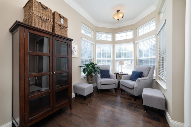 sitting room featuring dark wood-style floors, baseboards, and ornamental molding