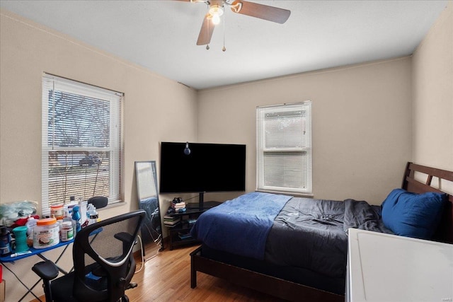 bedroom with multiple windows, light wood-type flooring, and ceiling fan