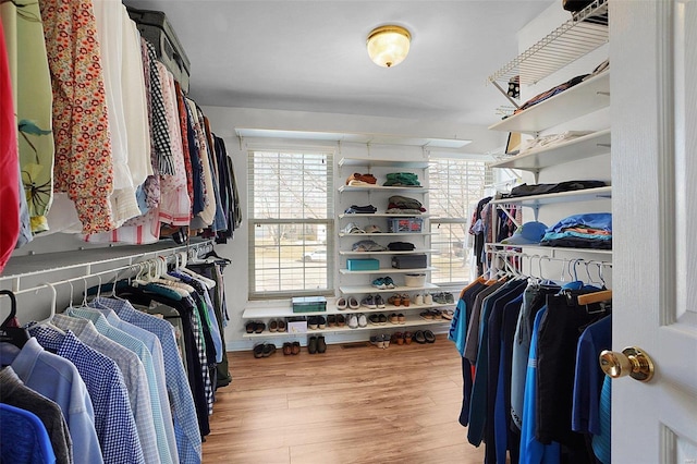 walk in closet featuring wood finished floors