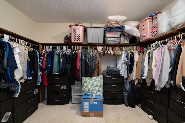 walk in closet with carpet flooring