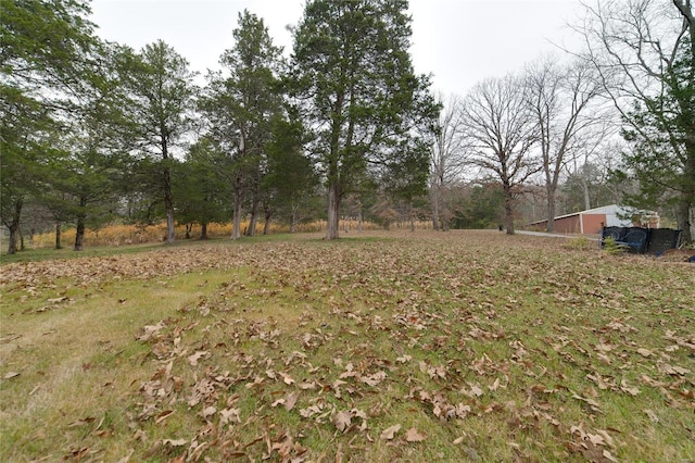 view of yard with a garage